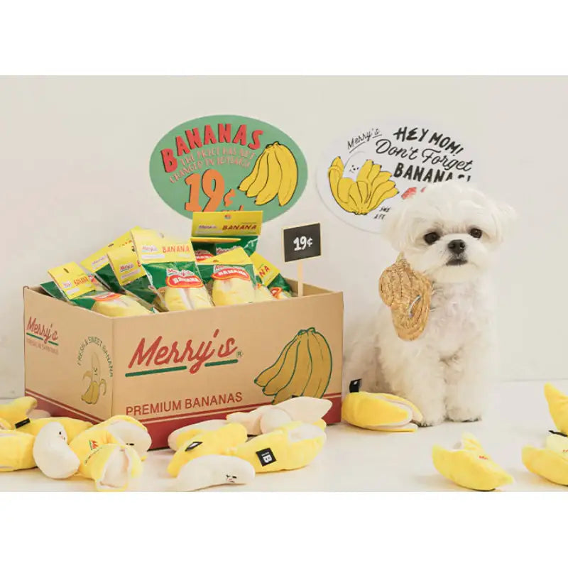 Bite Me - Banana Nosework Toy - Bite Me - Pet - Harumio