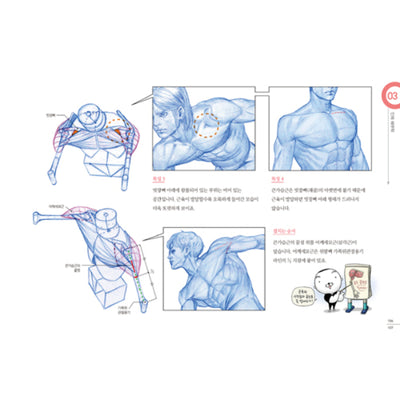 RockHe Kim's Anatomy Drawing Class