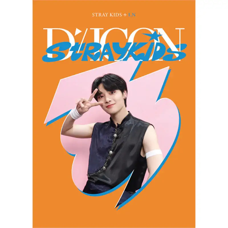 DICON - D’FESTA Mini Edition Stray Kids - Dicon - Magazines - Harumio