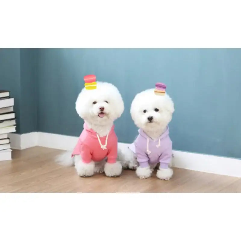 ITSDOG - Pet Macaroon Hoodie - ITSDOG - Pet Clothes - Harumio