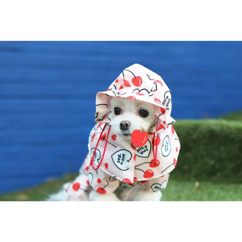 ITSDOG - Pet Pancho Raincoat - ITSDOG - Pet Clothes - Harumio