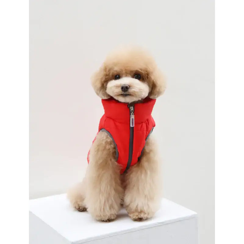 ITSDOG - Pet Padded Vest - ITSDOG - Pet Clothes - Harumio
