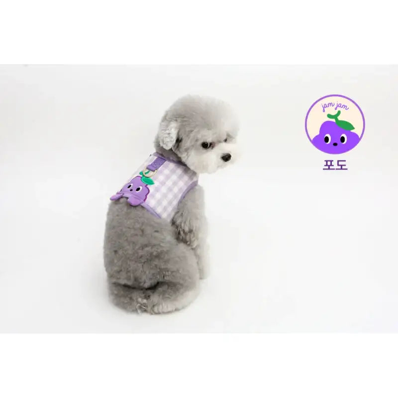 ITSDOG - Pet Jam Jam Peekaboo Harness - ITSDOG - Pet Accesories - Harumio