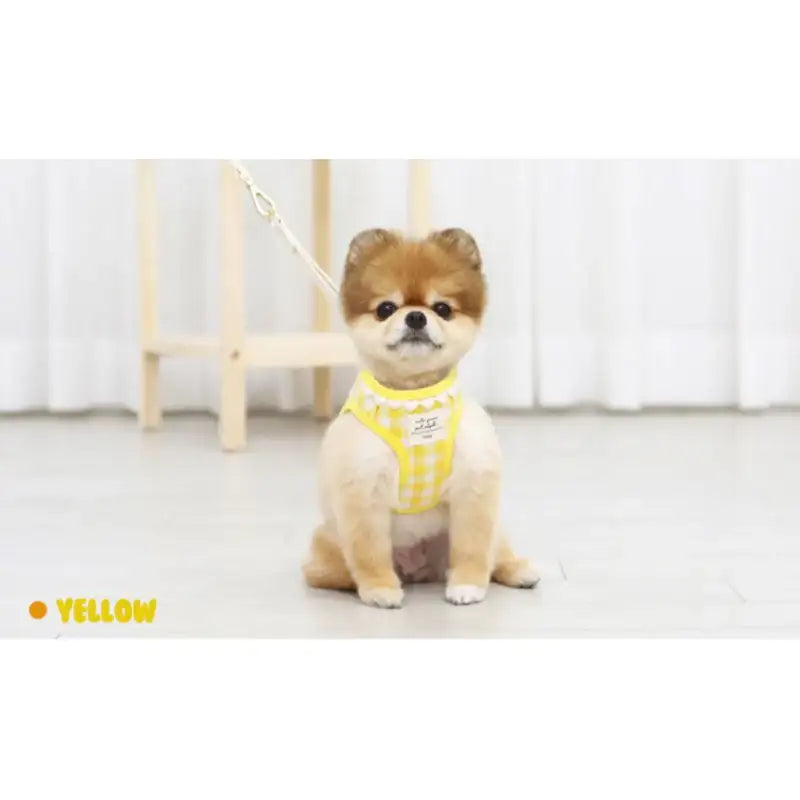 ITSDOG - Pet Heart Checked Harness - ITSDOG - Pet Accesories - Harumio
