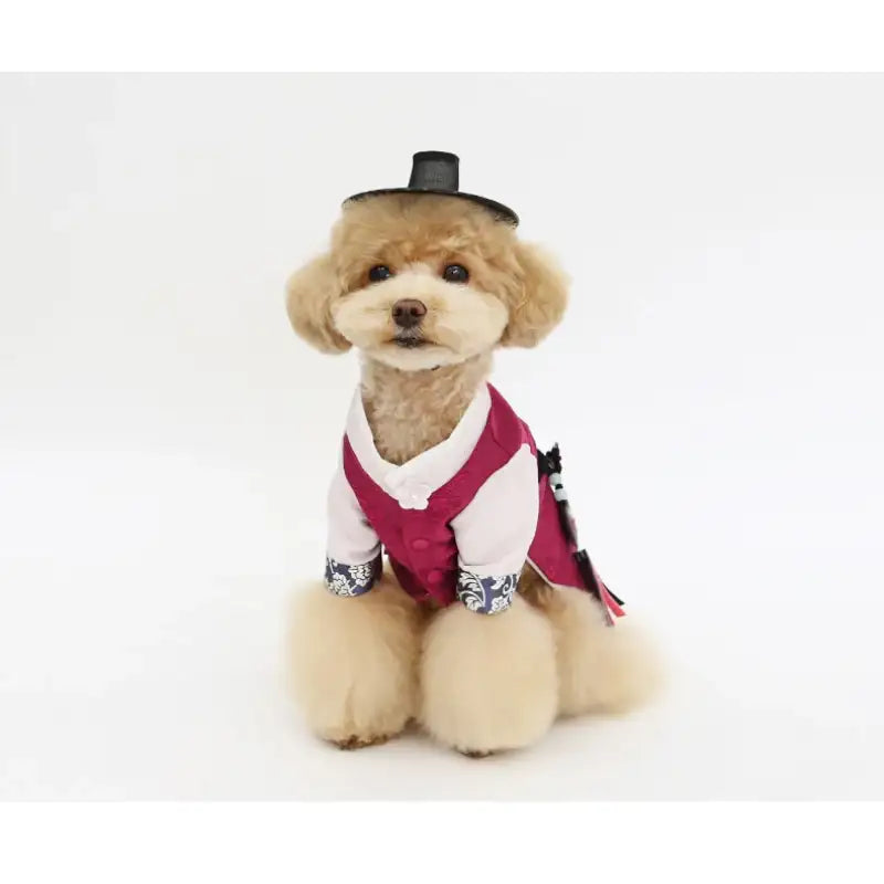 ITSDOG - Pet Prince Chanseul Hanbok - ITSDOG - Pet Clothes - Harumio