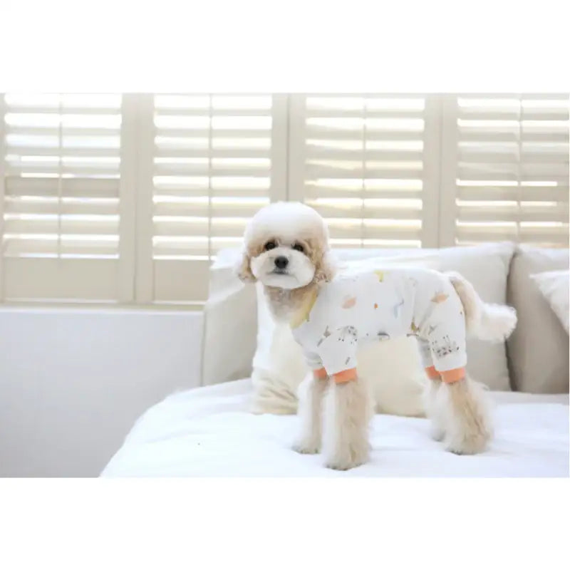 ITSDOG - Pet Organic Bebezoo All In One Pajamas - ITSDOG - Pet Clothes - Harumio