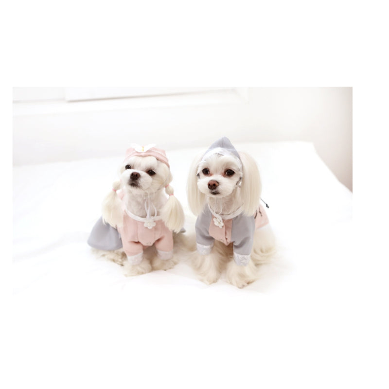 ITSDOG - Male Pet Elegant Hanbok