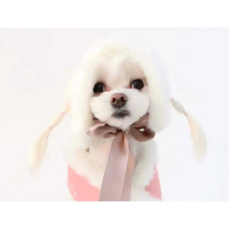 ITSDOG - Pet Narcissus Quilted Earmuffs - ITSDOG - Pet Accesories - Harumio