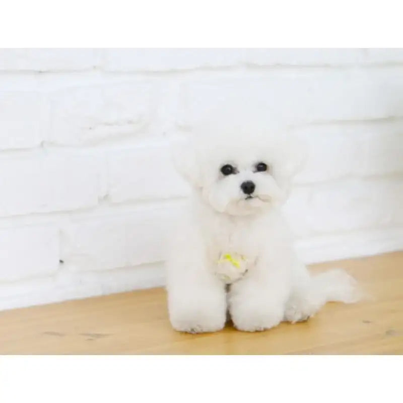 ITSDOG - Pet Organic Baby T-Shirt - ITSDOG - Pet Clothes - Harumio