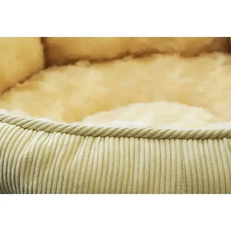 Yog!ssw - Cat Mustard Golden Cushion - Jungle Monster - Pet Cushion - Harumio