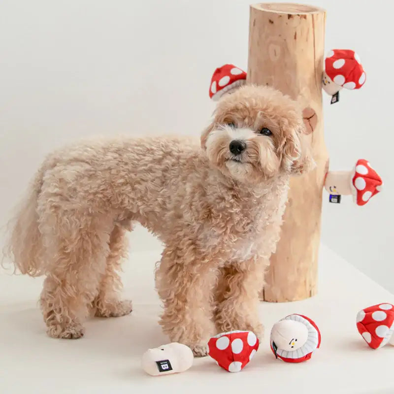 Bite Me - Mushroom Nosework Toy - Bite Me - Pet - Harumio