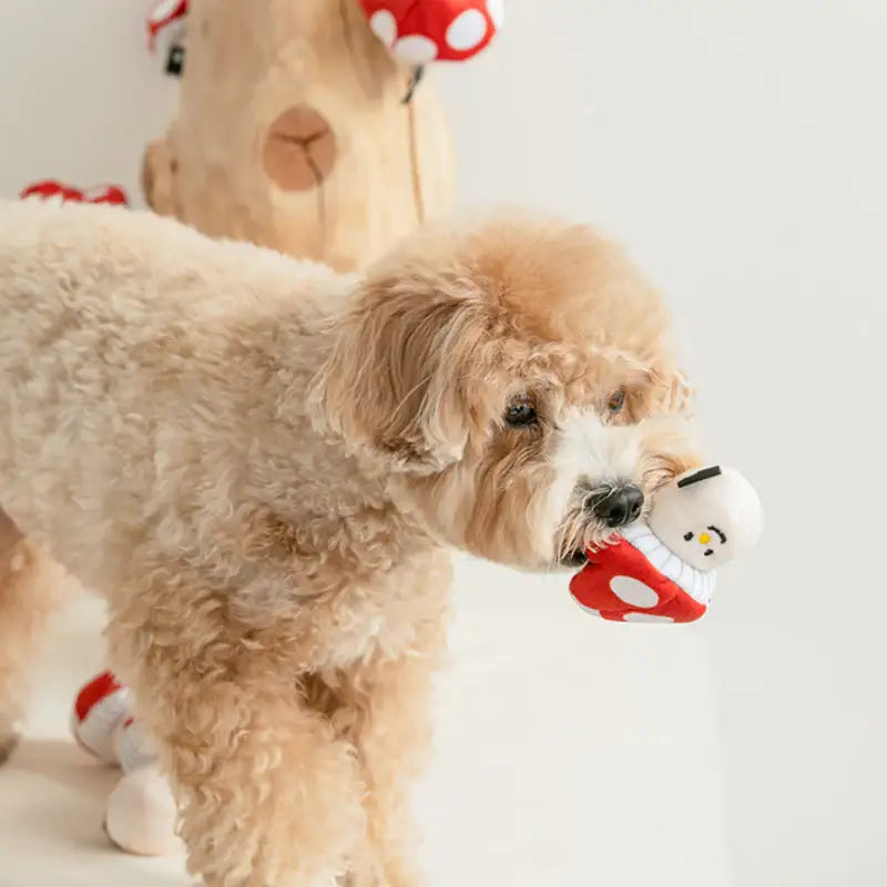 Bite Me - Mushroom Nosework Toy - Bite Me - Pet - Harumio
