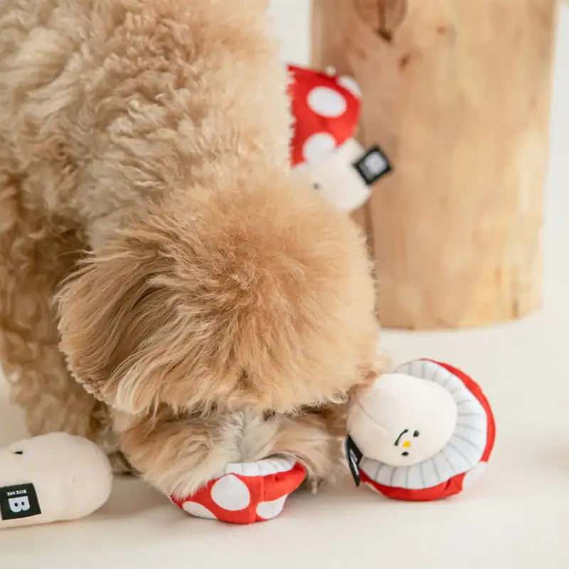 Bite Me - Mushroom Nosework Toy - Bite Me - Pet - Harumio