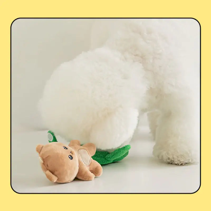 Bite Me - Lucky Squirrel Keyring Nosework Toy - Bite Me - Pet - Harumio