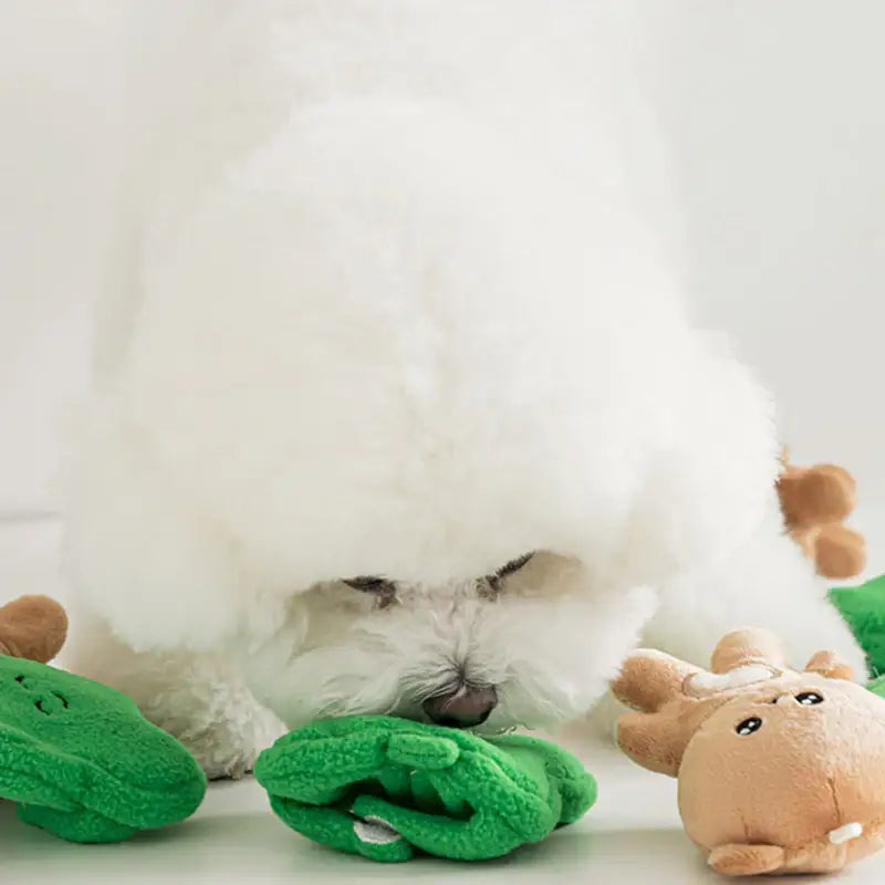 Bite Me - Lucky Squirrel Keyring Nosework Toy - Bite Me - Pet - Harumio