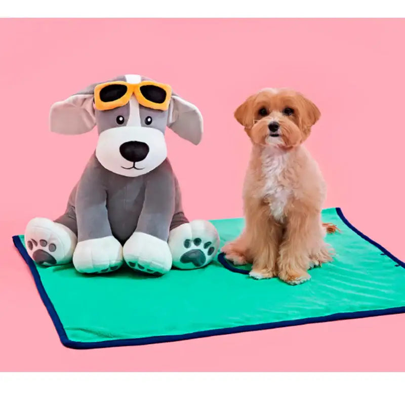 Wiggle Wiggle x Pethroom - Cushion Blanket - Wiggle Wiggle - Pet - Harumio