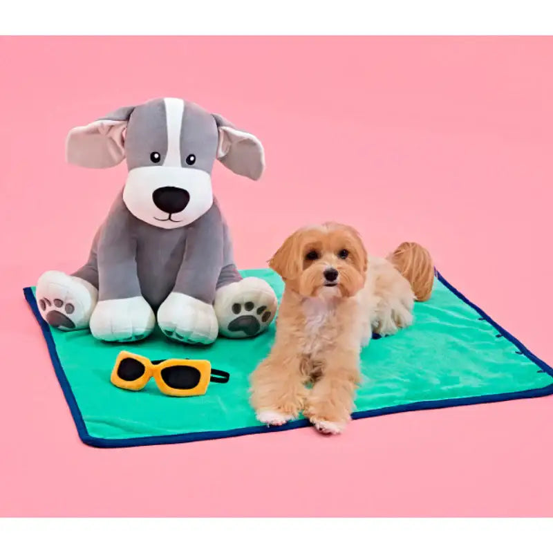 Wiggle Wiggle x Pethroom - Cushion Blanket - Wiggle Wiggle - Pet - Harumio