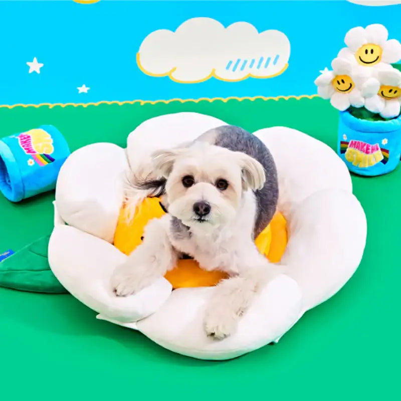 Wiggle Wiggle x Pethroom - Dog Cushion - Wiggle Wiggle - Pet - Harumio