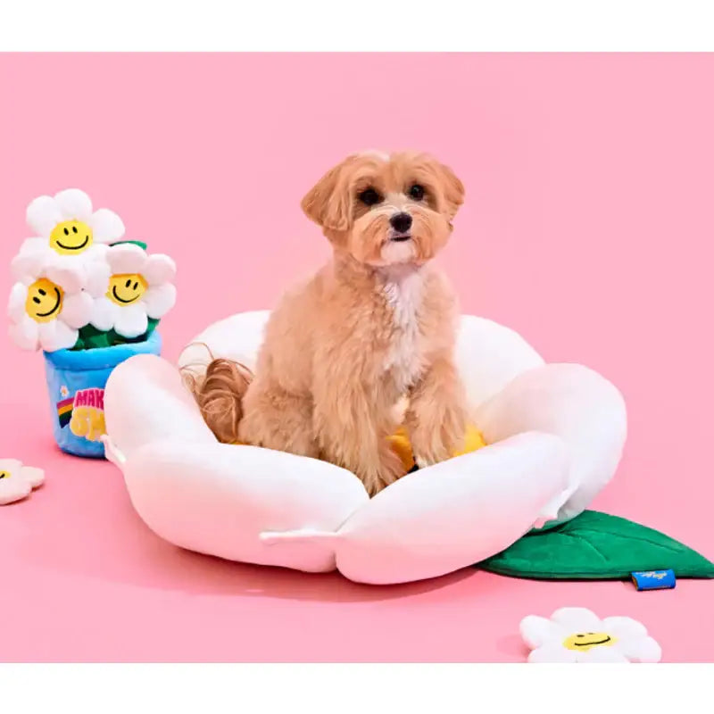 Wiggle Wiggle x Pethroom - Dog Cushion - Wiggle Wiggle - Pet - Harumio