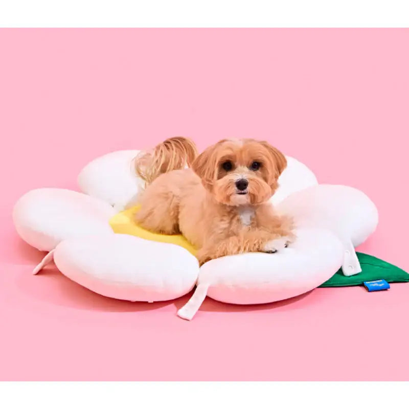 Wiggle Wiggle x Pethroom - Dog Cushion - Wiggle Wiggle - Pet - Harumio