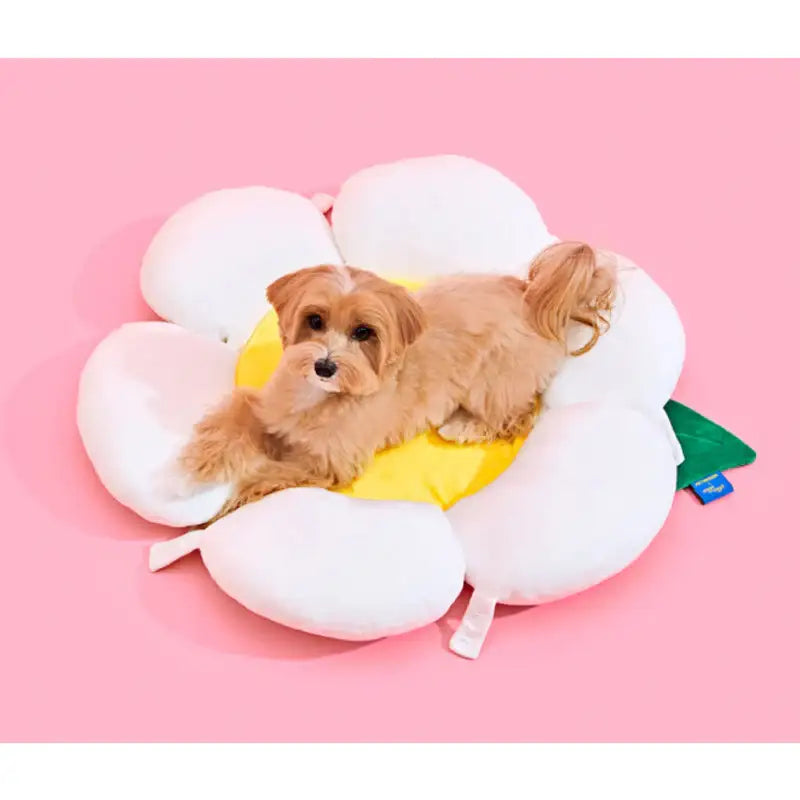 Wiggle Wiggle x Pethroom - Dog Cushion - Wiggle Wiggle - Pet - Harumio