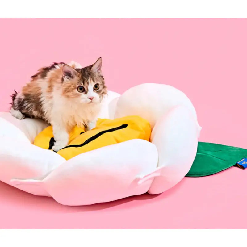 Wiggle Wiggle x Pethroom - Dog Cushion - Wiggle Wiggle - Pet - Harumio