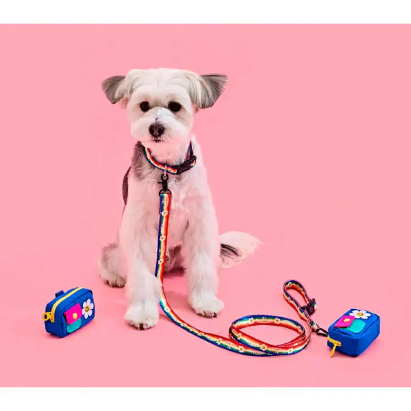 Wiggle Wiggle x Pethroom - Poop Bag Pouch - Wiggle Wiggle - Pouch - Harumio