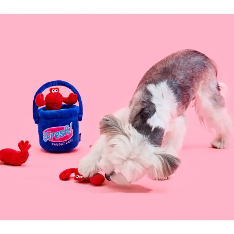 Wiggle Wiggle x Pethroom - Nosework Toy - Wiggle Wiggle - Pet - Harumio