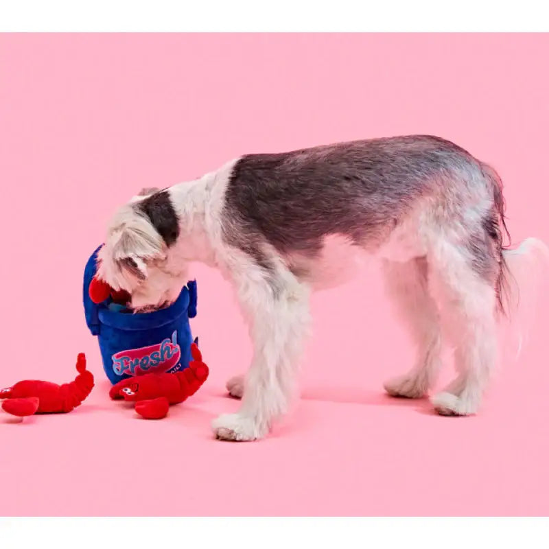 Wiggle Wiggle x Pethroom - Nosework Toy - Wiggle Wiggle - Pet - Harumio