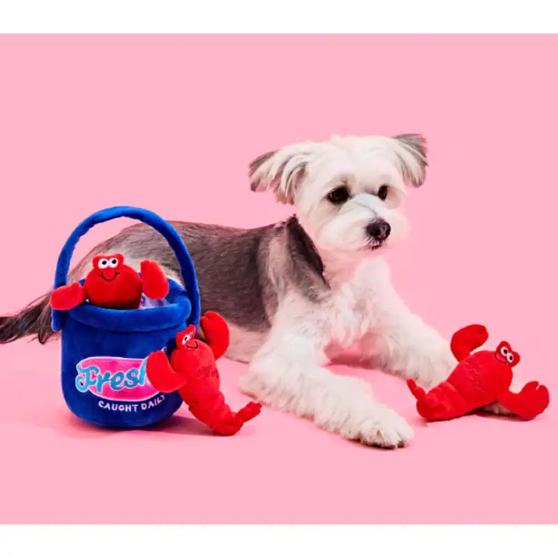 Wiggle Wiggle x Pethroom - Nosework Toy - Wiggle Wiggle - Pet - Harumio
