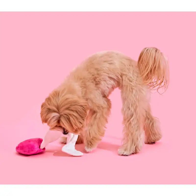 Wiggle Wiggle x Pethroom - Nosework Toy - Wiggle Wiggle - Pet - Harumio