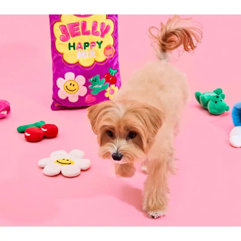 Wiggle Wiggle x Pethroom - Nosework Toy - Wiggle Wiggle - Pet - Harumio