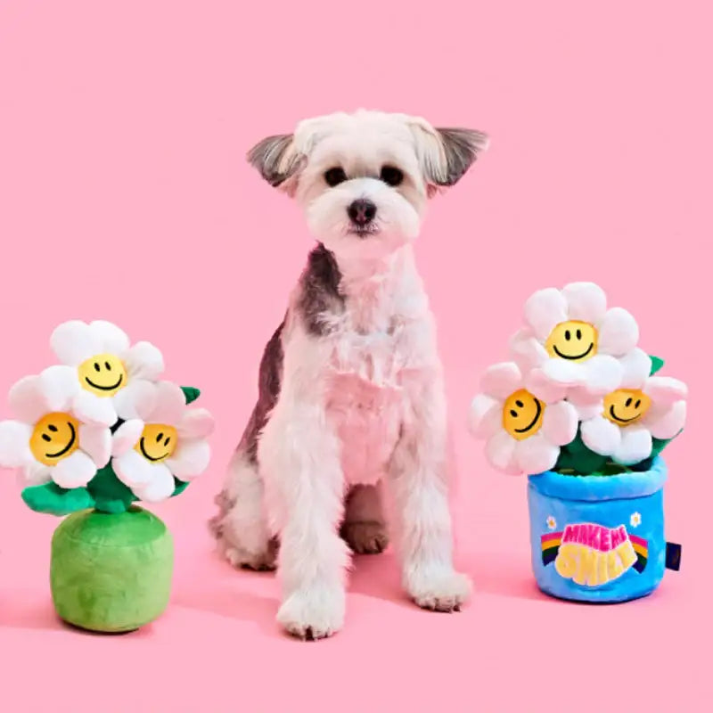 Wiggle Wiggle x Pethroom - Nosework Toy - Wiggle Wiggle - Pet - Harumio