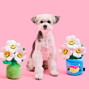 Wiggle Wiggle x Pethroom - Nosework Toy - Wiggle Wiggle - Pet - Harumio