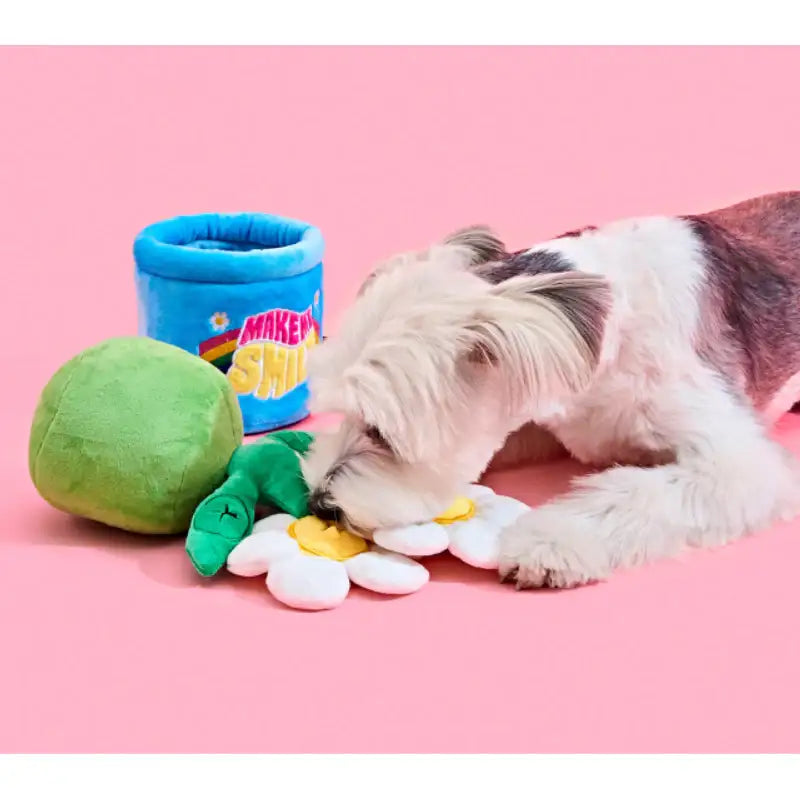 Wiggle Wiggle x Pethroom - Nosework Toy - Wiggle Wiggle - Pet - Harumio