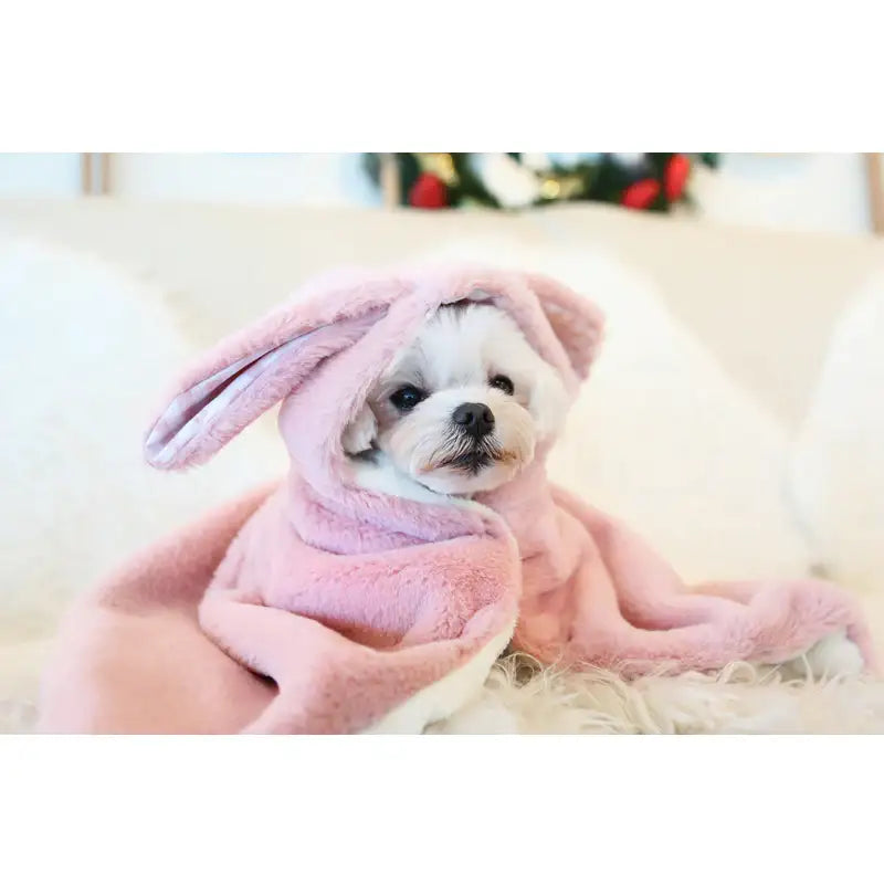 ITSDOG - Pet Rabbit Cloak Hooded Blanket - ITSDOG - Pet Clothes - Harumio