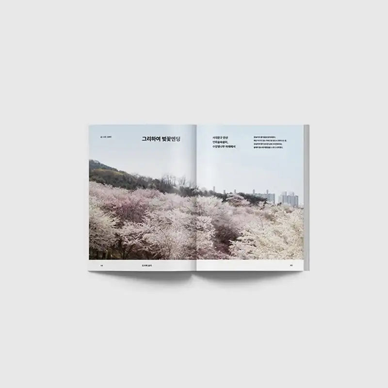 Big Issue - No.274 2022 - Magazine Cover Lee Hak Joo - Big Issue Korea - Magazine - Harumio
