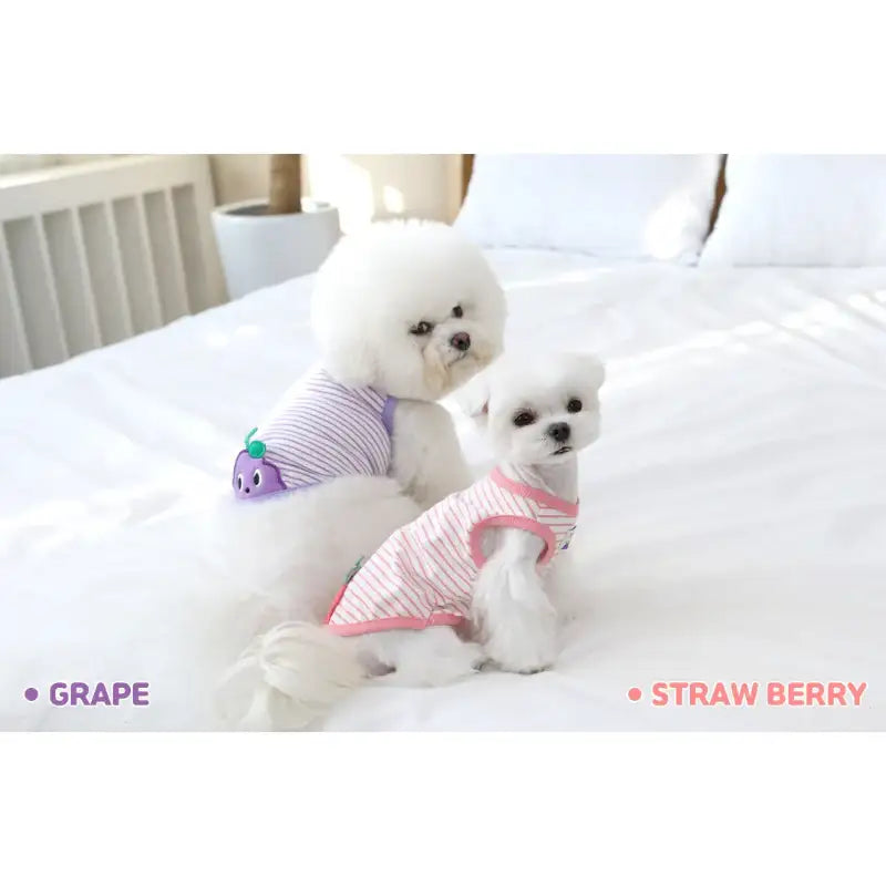 ITSDOG - Pet Jam Jam Peekaboo Sleeveless T-Shirt - ITSDOG - Pet Clothes - Harumio