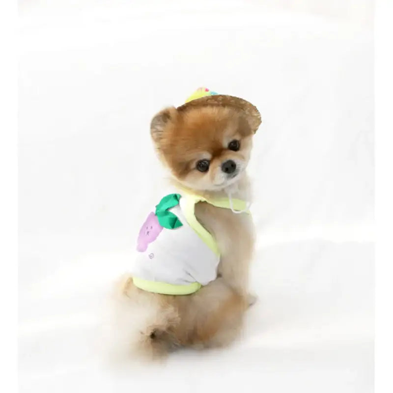 ITSDOG - Pet Fruit Sleeveless Crop Top - ITSDOG - Pet Clothes - Harumio