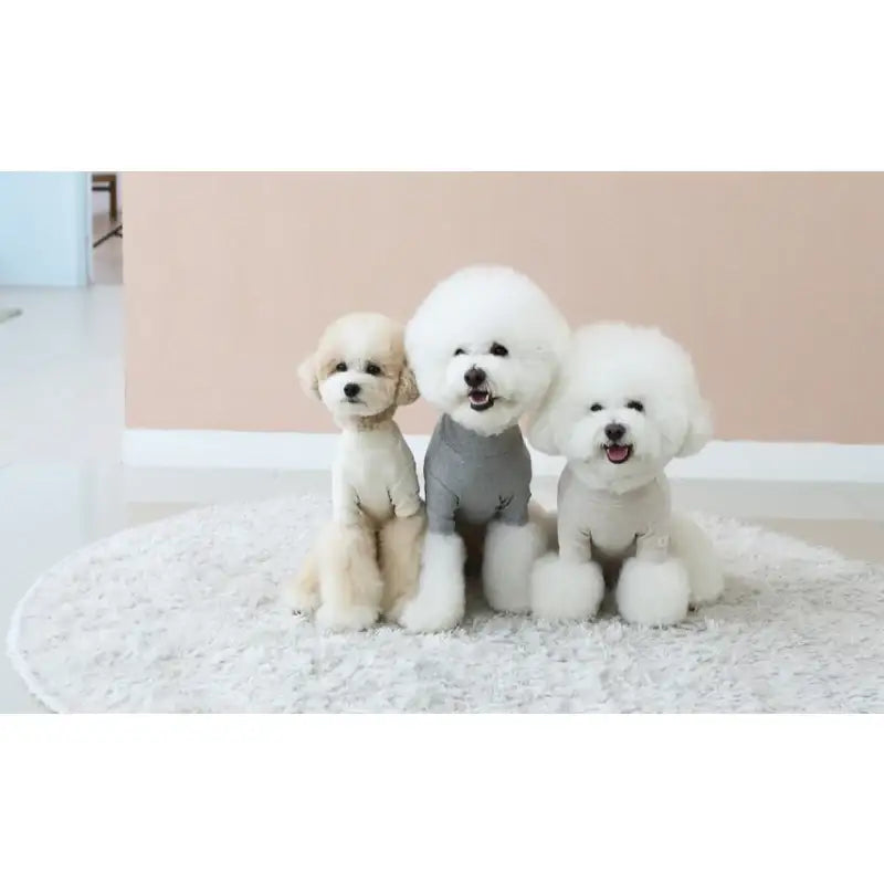 ITSDOG - Pet Fluffy Basic T-Shirt - ITSDOG - Pet Clothes - Harumio