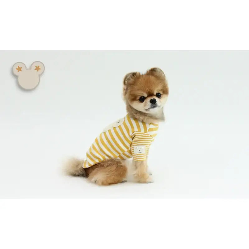 ITSDOG - Pet Star Bear T-Shirt - ITSDOG - Pet Clothes - Harumio