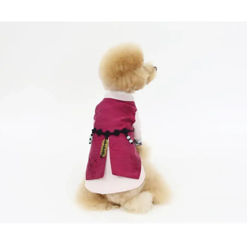 ITSDOG - Pet Prince Chanseul Hanbok - ITSDOG - Pet Clothes - Harumio