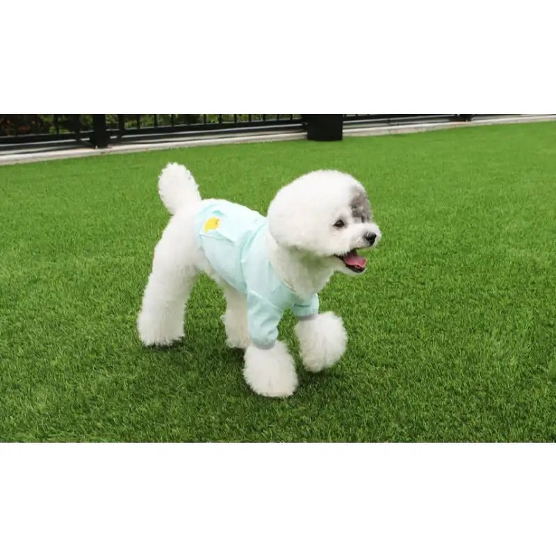 ITSDOG - Pet Pastel Windy Jumper - ITSDOG - Pet Clothes - Harumio