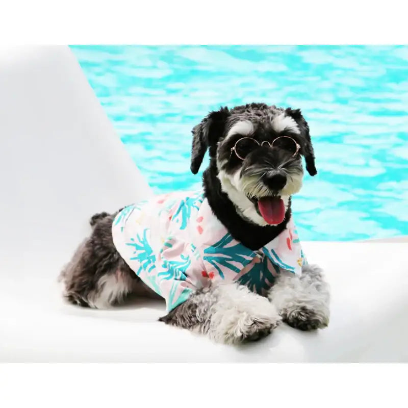 ITSDOG - Pet Sangria Shirt - ITSDOG - Pet Clothes - Harumio