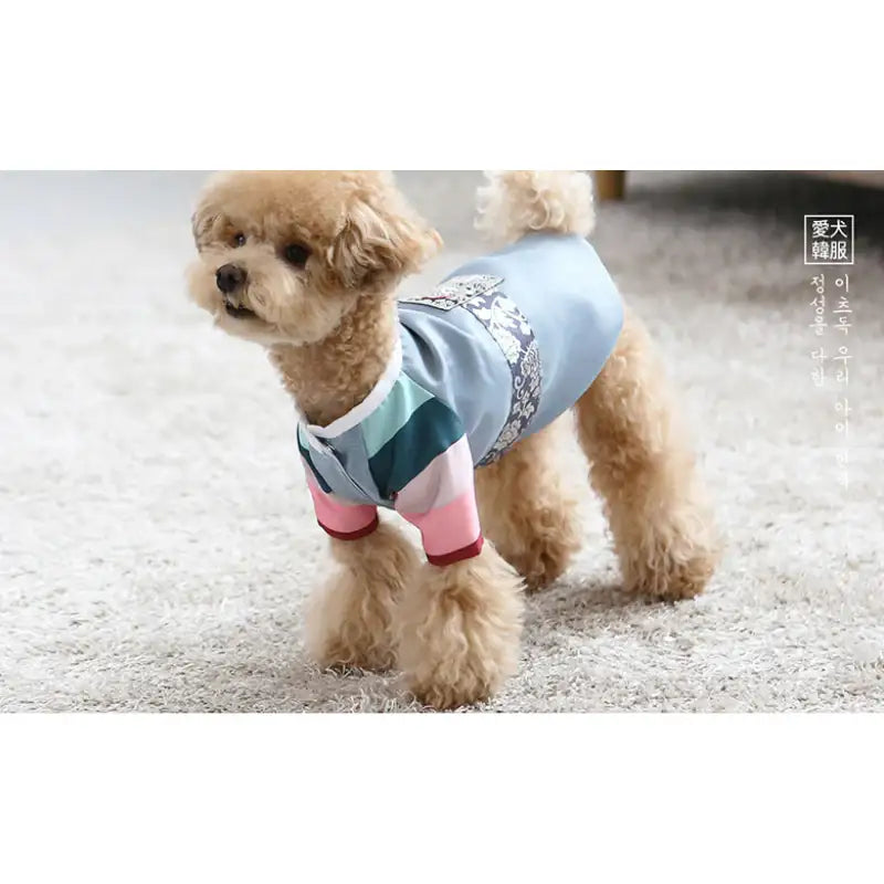 ITSDOG - Handmade Pet Prince Seohyun Hanbok - ITSDOG - Pet Clothes - Harumio