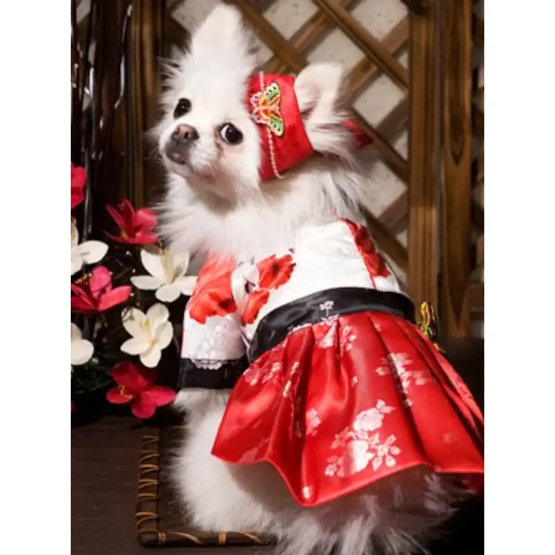 ITSDOG - Pet Female Butterfly Ayam - ITSDOG - Pet Accesories - Harumio