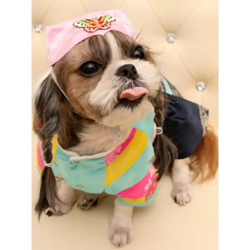 ITSDOG - Pet Female Butterfly Ayam - ITSDOG - Pet Accesories - Harumio