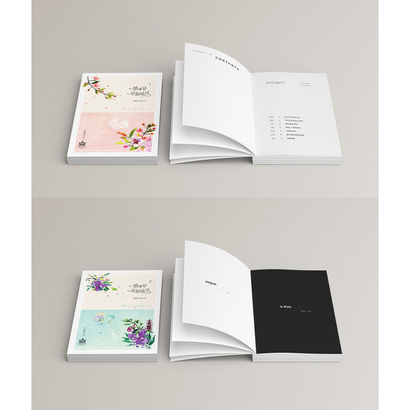 Taming the Absolute Armor Limited Edition Set - Manhwa