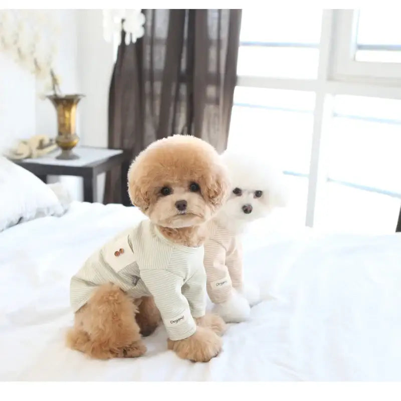ITSDOG - Pet Organic The Simple T-Shirt - ITSDOG - Pet Clothes - Harumio
