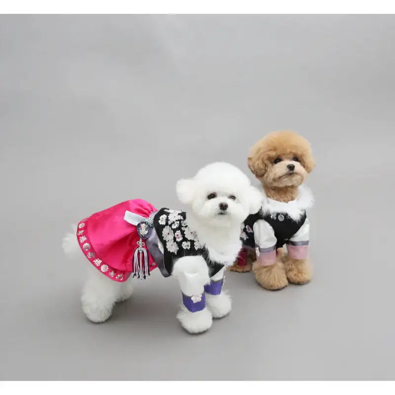 ITSDOG - Pet Hanbok - ITSDOG - Pet Clothes - Harumio